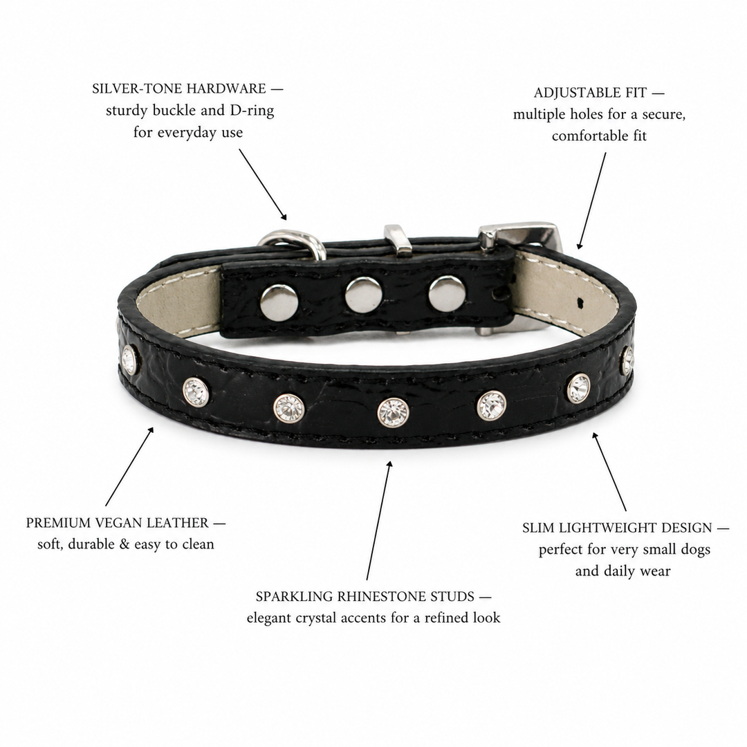 Black Dog Collar with Crystal Rhinestone Studs