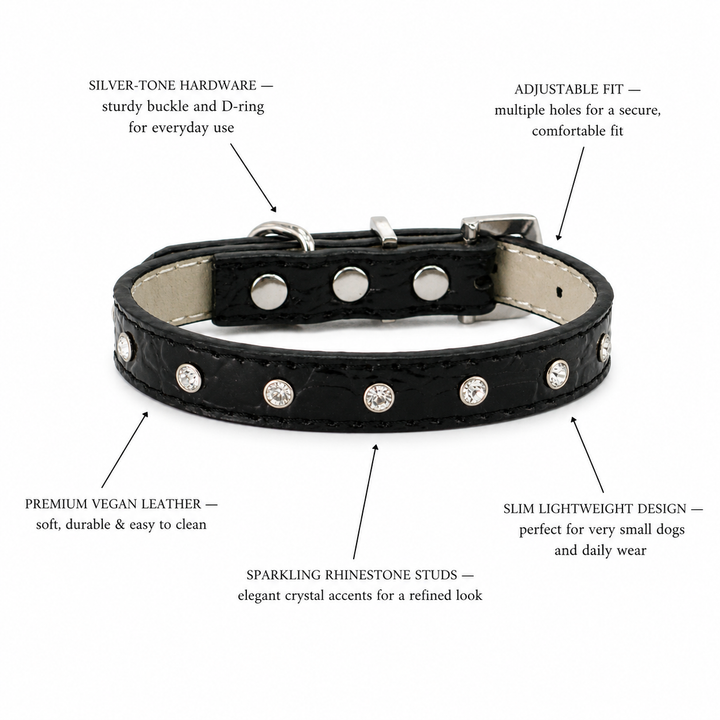 Black Dog Collar with Crystal Rhinestone Studs