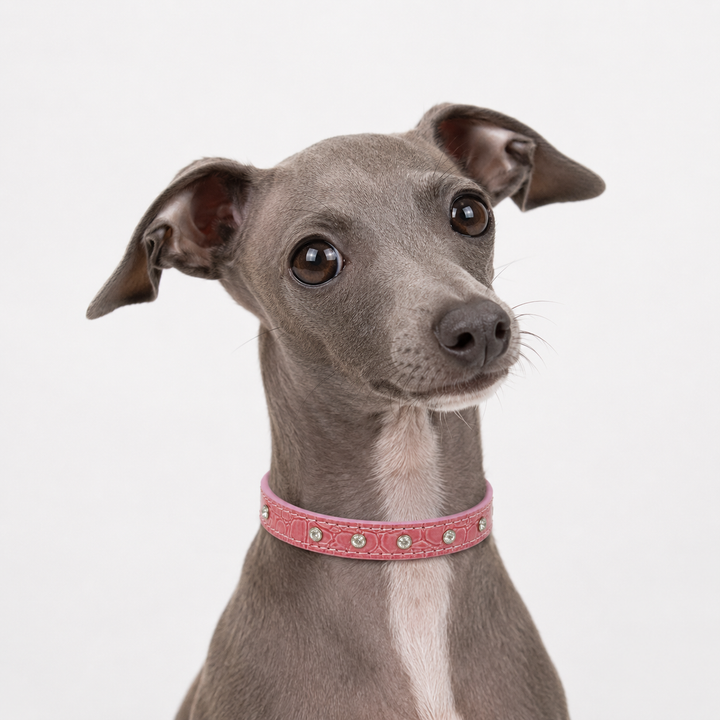Pink Crocodile Embossed Rhinestone Dog Collar