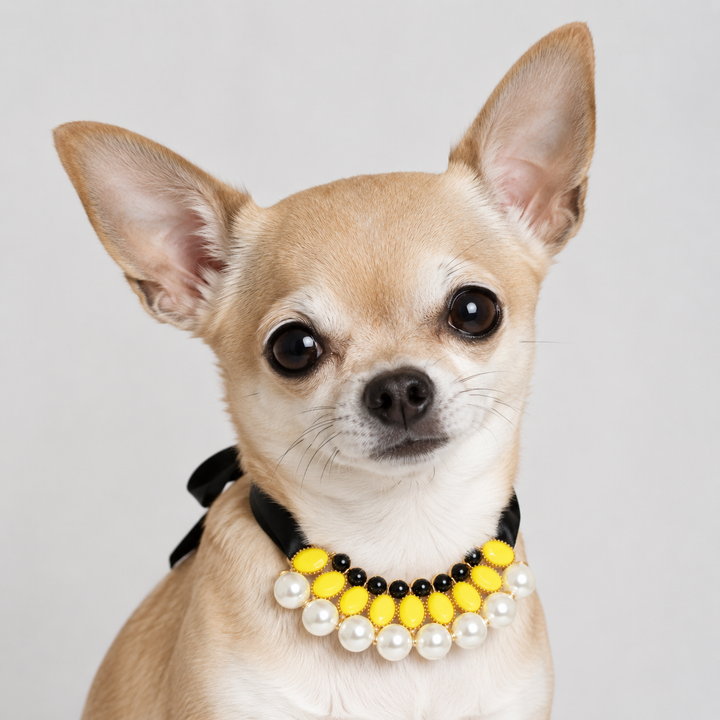 Yellow Pearl Statement Dog Collar Necklace with Black Satin Ribbon