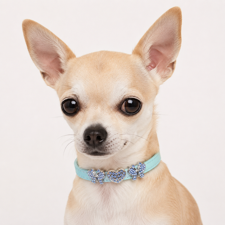 Mint Dog Collar with Blue Crystal Butterfly Heart Charms