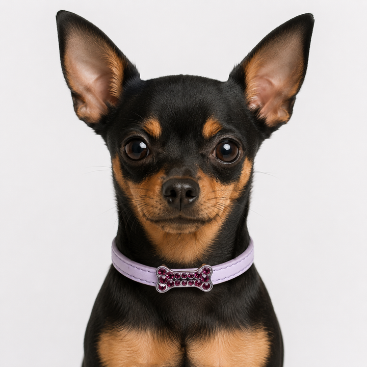 Lilac Dog Collar with Pink Crystal Bone Charm