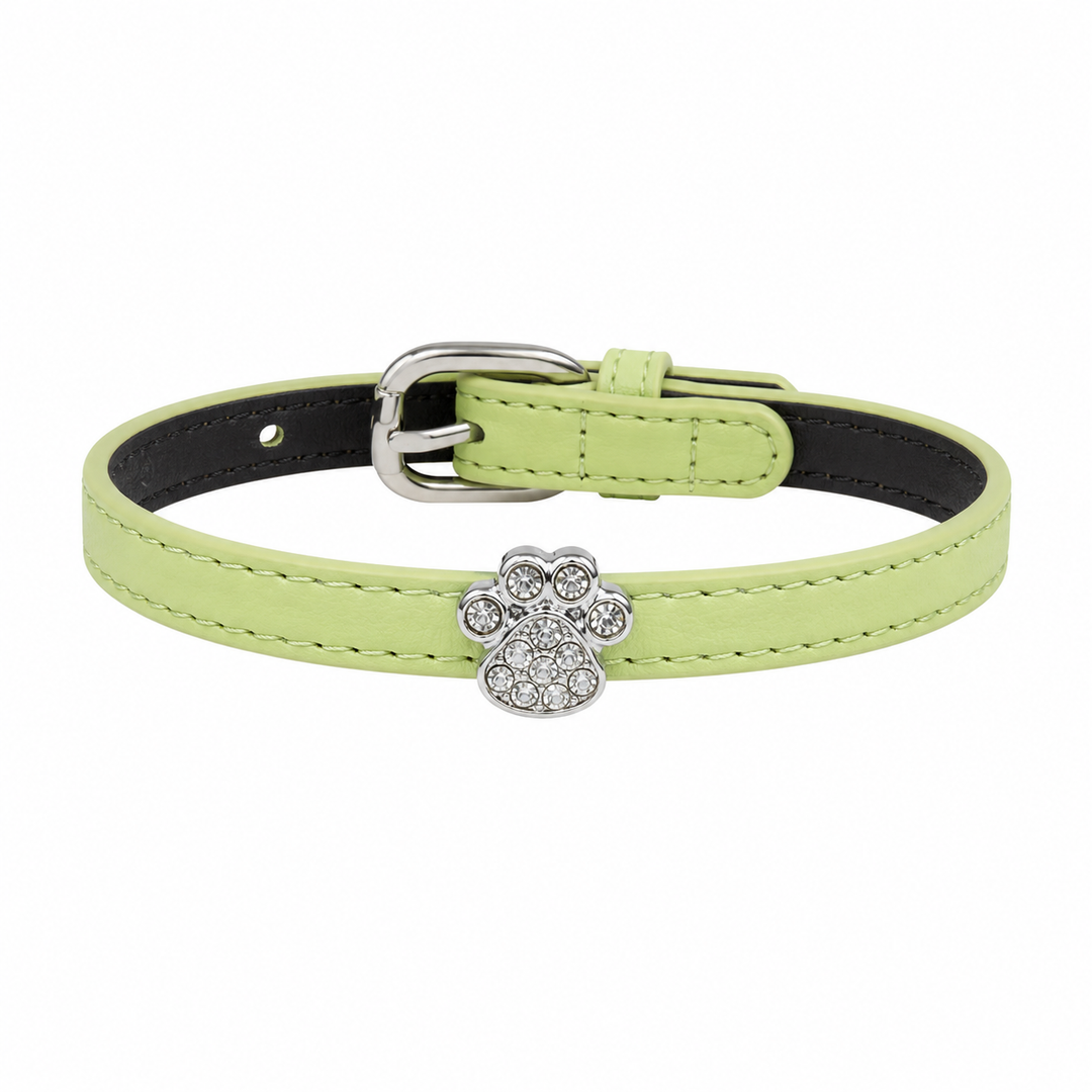 Light Green Dog Collar with Crystal Paw Print Charm