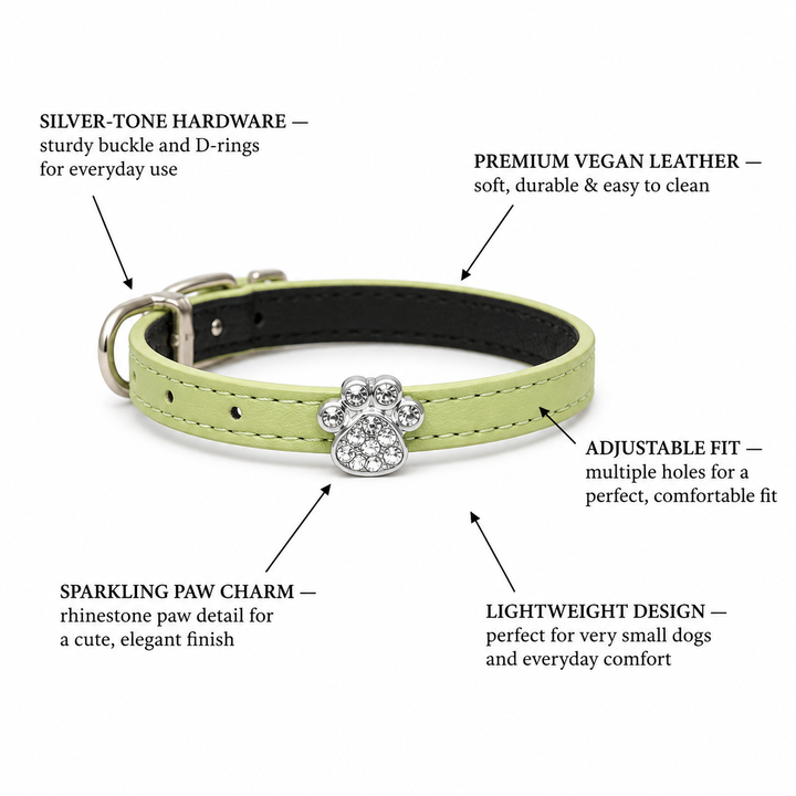 Light Green Dog Collar with Crystal Paw Print Charm