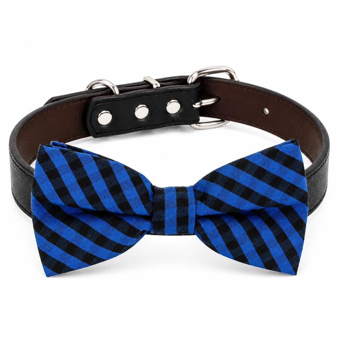 Royal Blue Buffalo Plaid Dog Bow Tie Collar with Adjustable Black Vegan Leather Collar