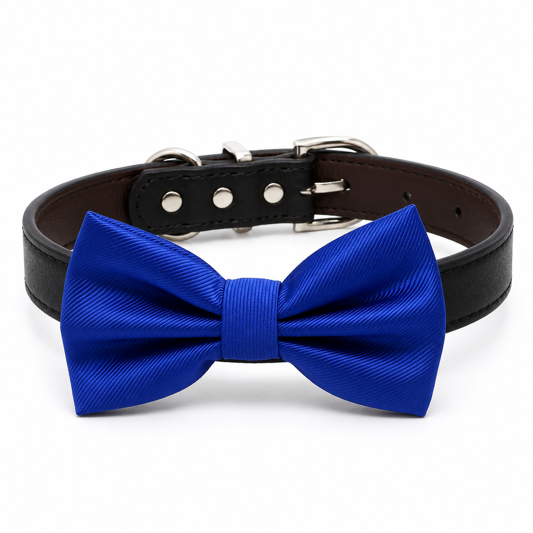 Royal Blue Satin Dog Bow Tie Collar with Adjustable Black Vegan Leather Collar