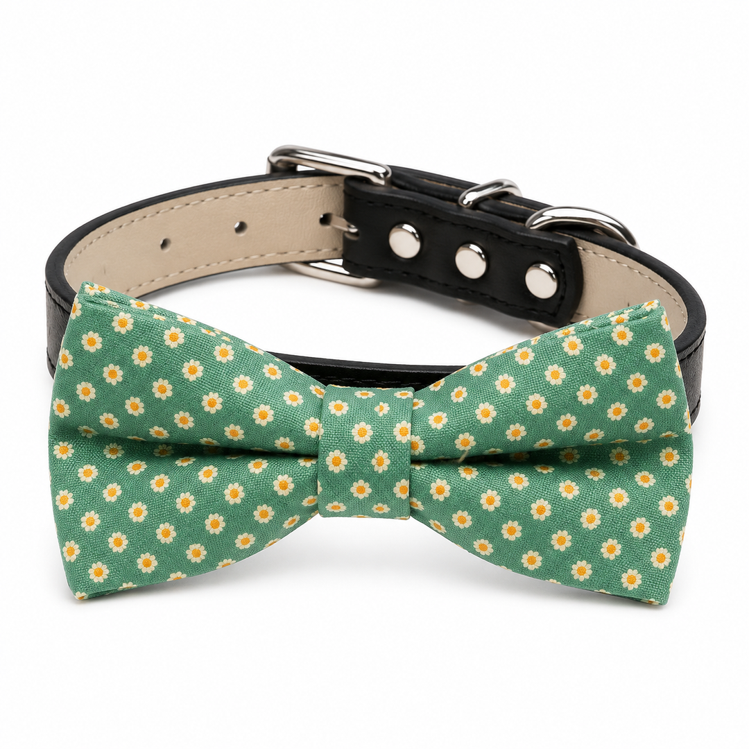 Sage Green Daisy Dog Bow Tie Collar with Adjustable Black Vegan Leather Collar