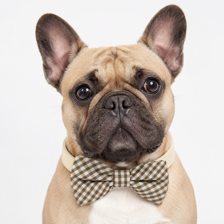 Beige Plaid Dog Bow Tie Collar with Adjustable Vegan Leather Collar for Dogs & Puppies