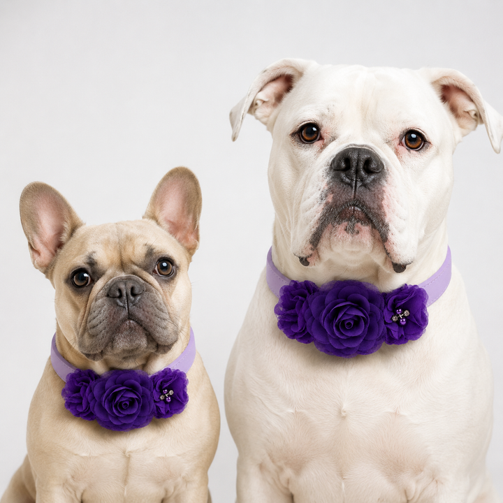 Purple Floral Dog Collar with Layered Rose Design and Pearl Accent