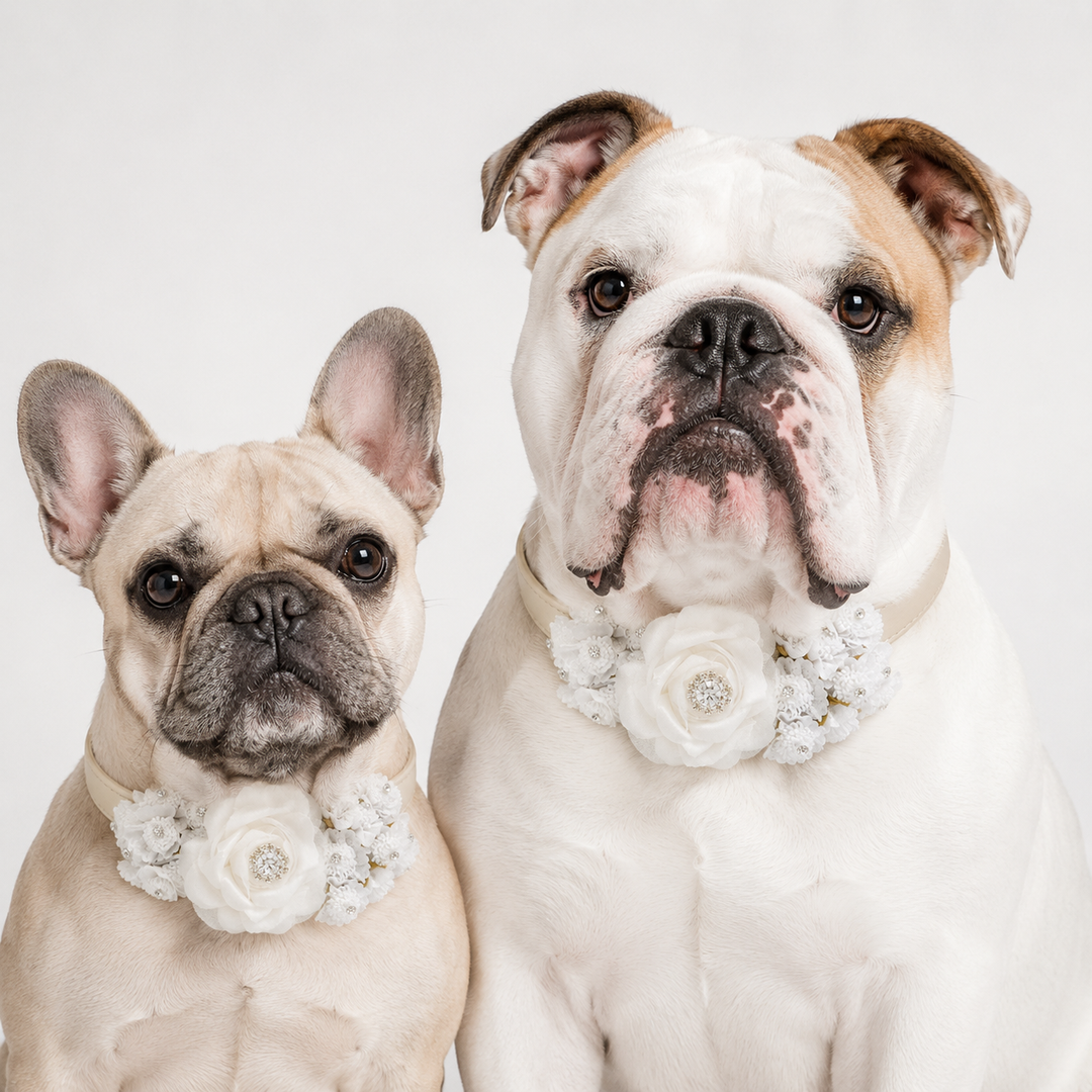 White Floral Dog Collar with Crystal Accent and Elegant Lace Flowers