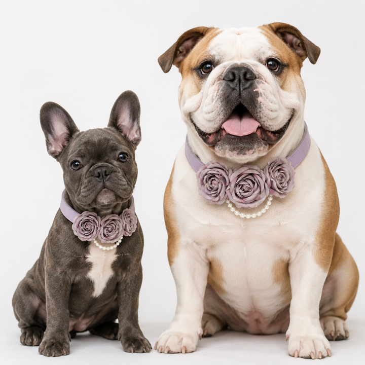 Dusty Lavender Floral Dog Collar with Pearl Accent and Rose Design
