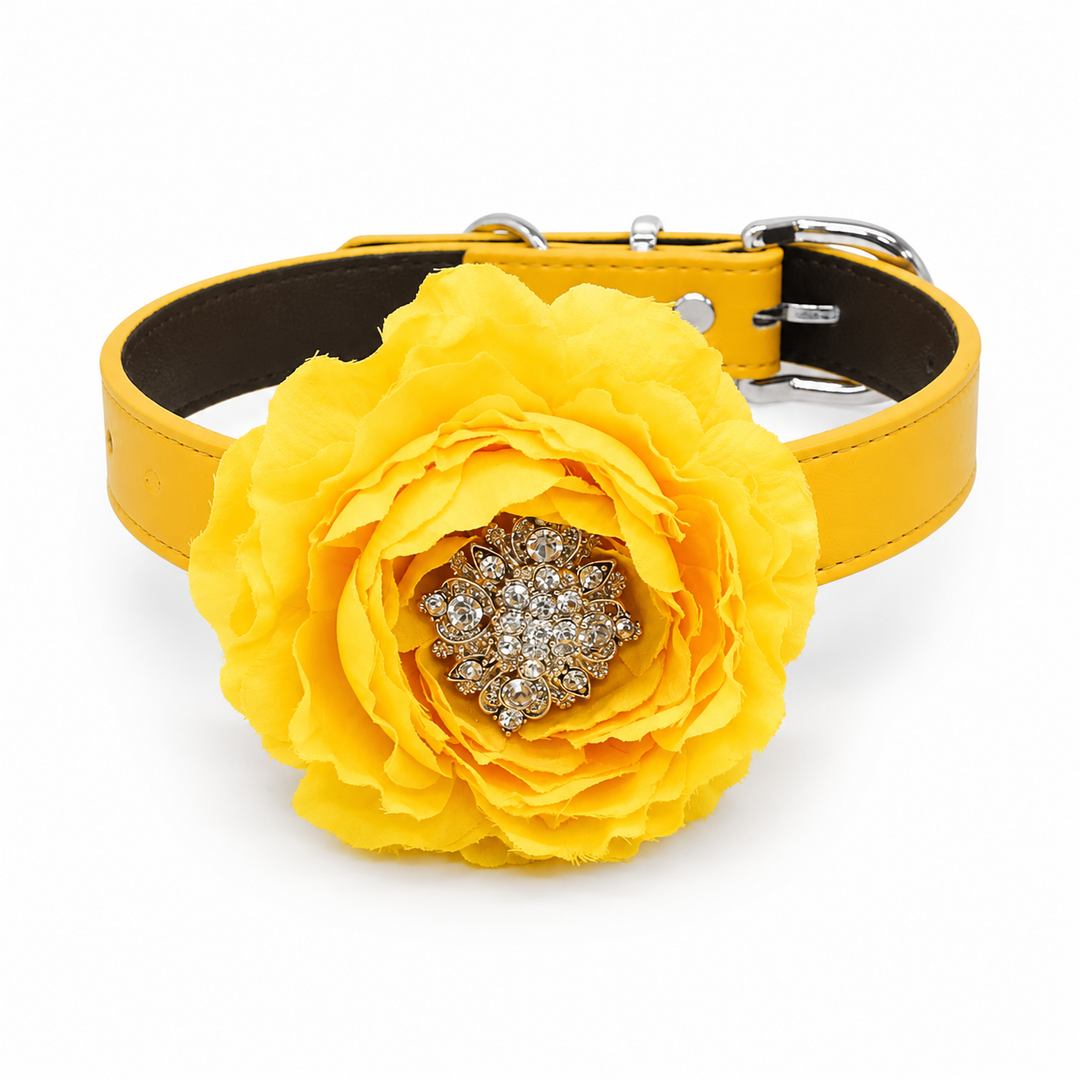 Yellow Floral Dog Collar with Crystal Center Flower Design