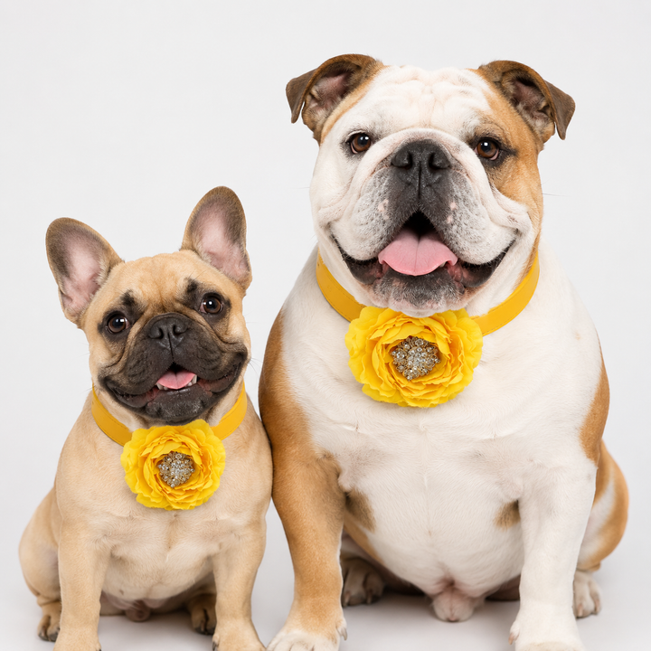 Yellow Floral Dog Collar with Crystal Center Flower Design