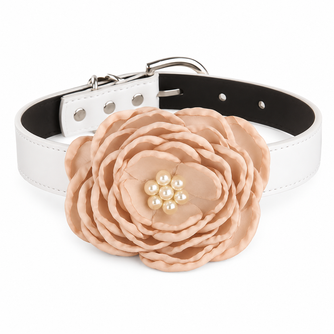 Champagne Floral Dog Collar with Pearl Center Flower Design