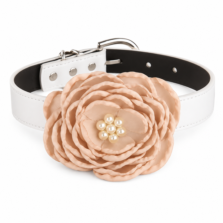 Champagne Floral Dog Collar with Pearl Center Flower Design