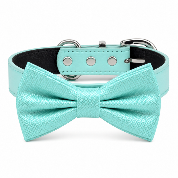 Mint Green Ring Bearer Wedding Dog Bow Tie Collar with Adjustable Matching Vegan Leather Collar