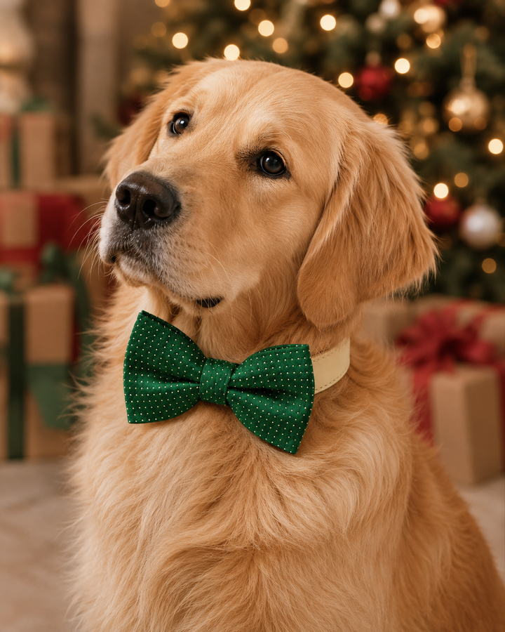 Emerald green bow tie Dog Collar, handmade dog lover gift, leather adjustable collar, M XXL collar, high quality bow tie