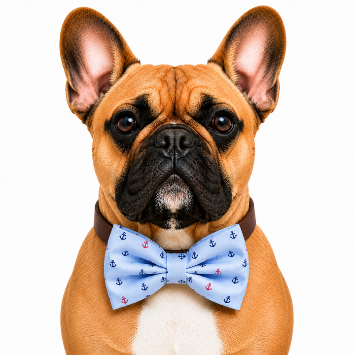 Blue Dog Bow Tie Collar with Adjustable Vegan Leather Collar for Dogs & Puppies