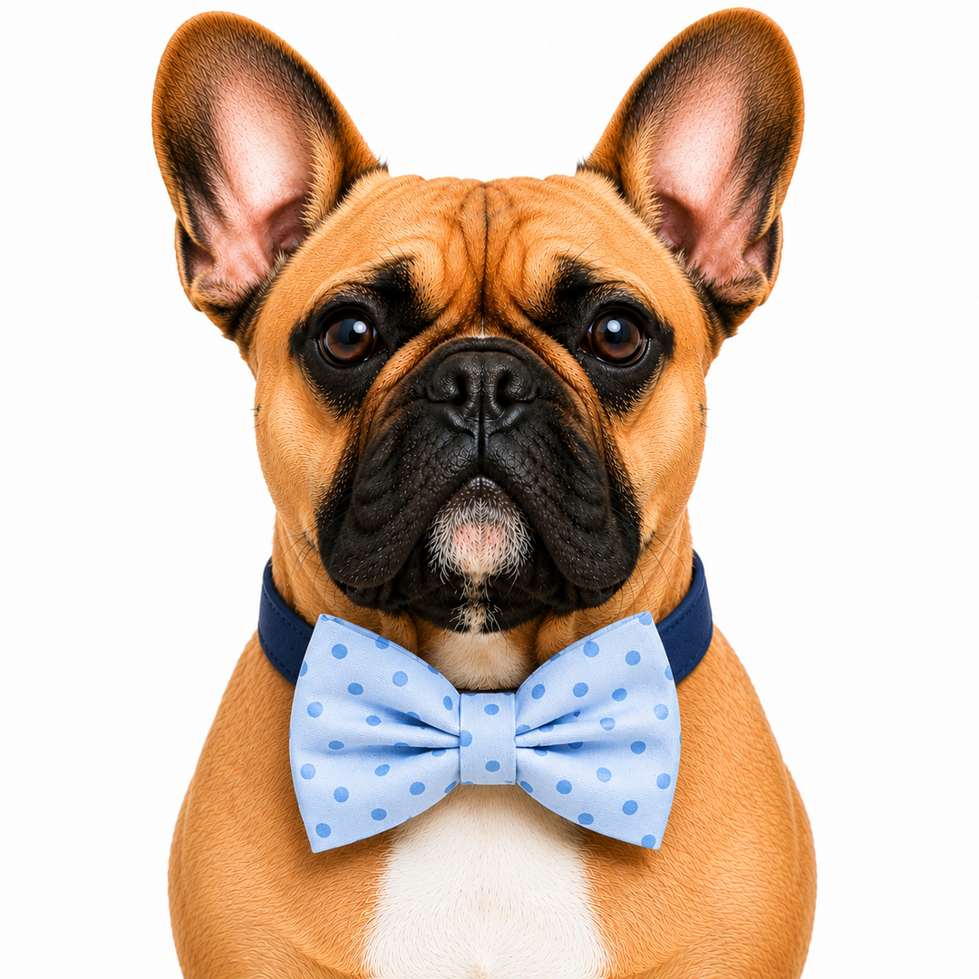 Blue Polka Dot Dog Bow Tie Collar with Adjustable Vegan Leather Collar for Dogs & Puppies