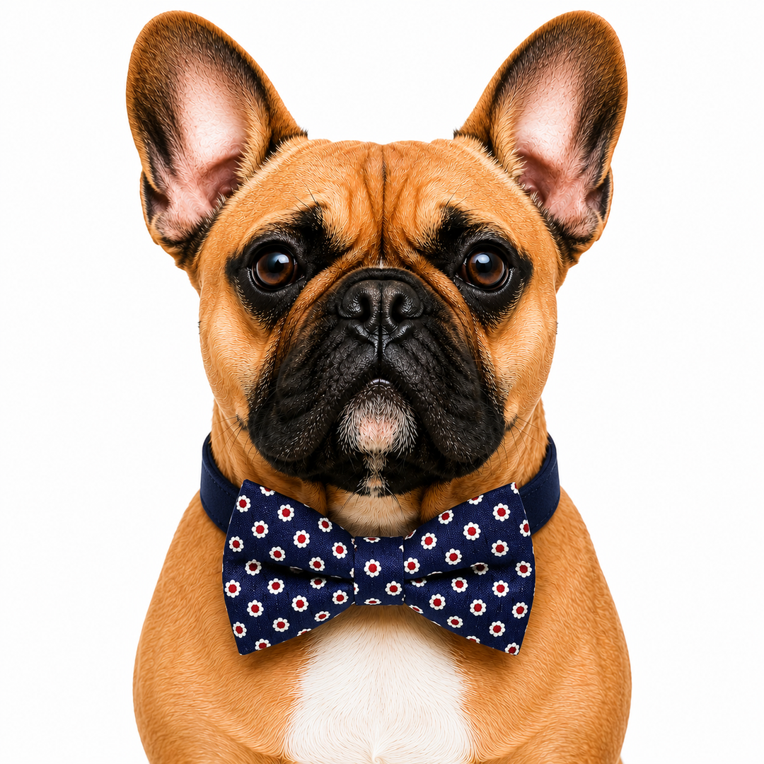 Blue Dog Bow Tie Collar with Adjustable Vegan Leather Collar for Dogs & Puppies