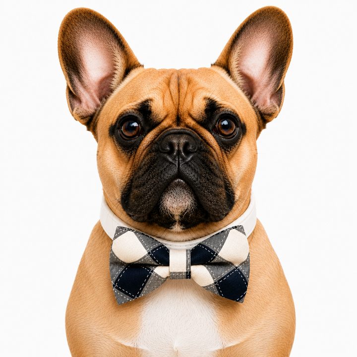 Black & White Plaid Dog Bow Tie Collar