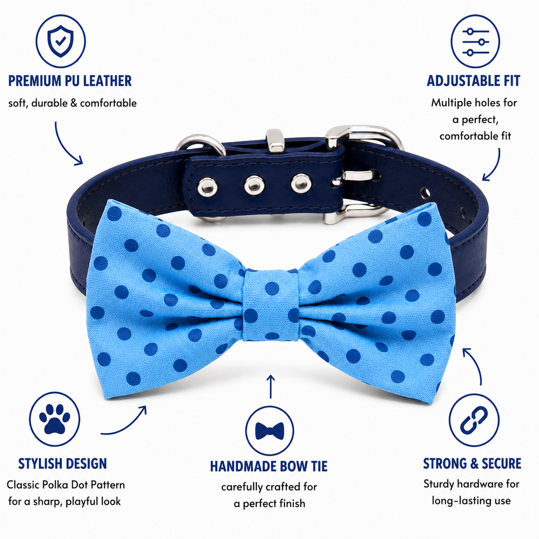 Sky Blue Polka Dot Dog Bow Tie Collar with Adjustable Navy Vegan Leather Collar