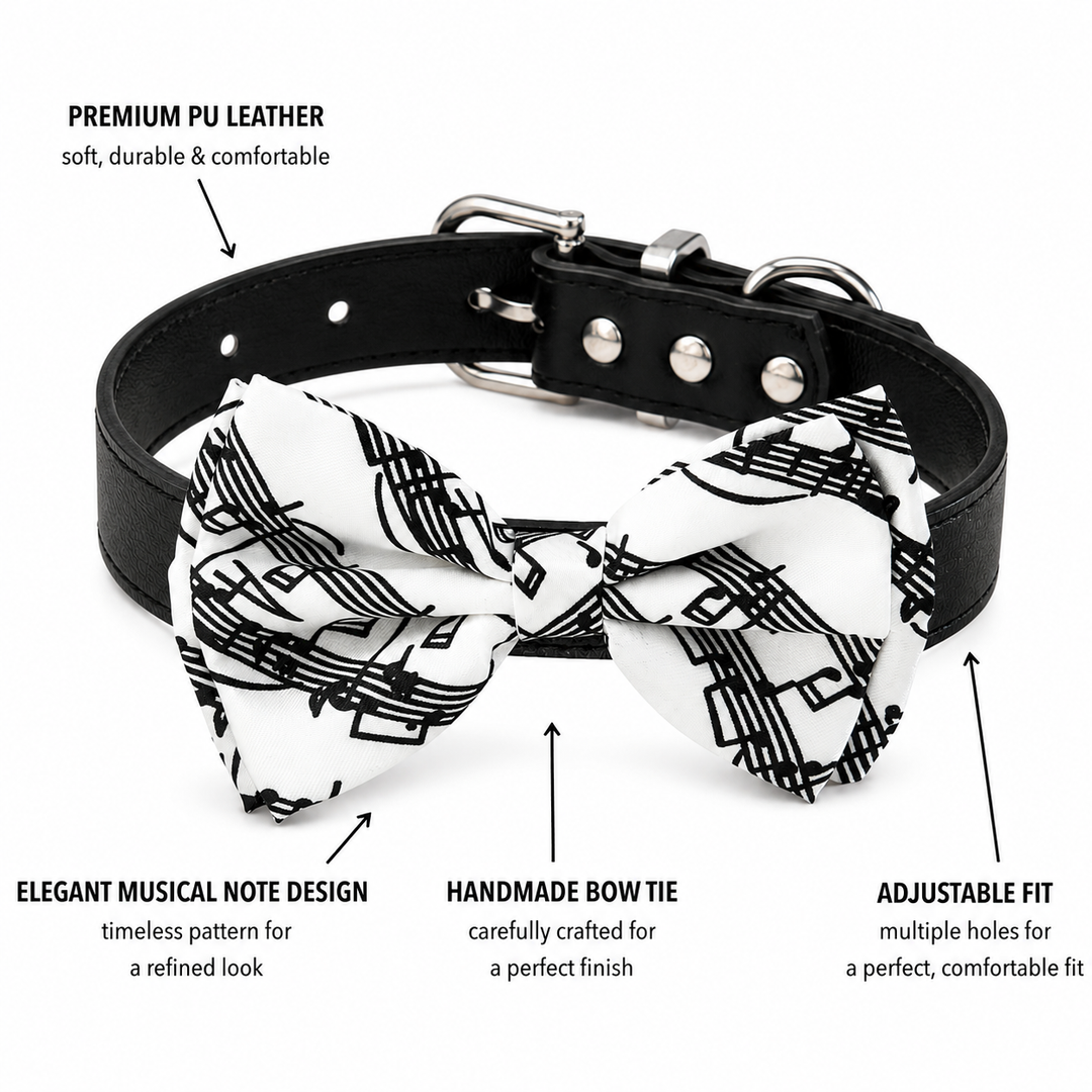 Black & White Music Note Dog Bow Tie Collar