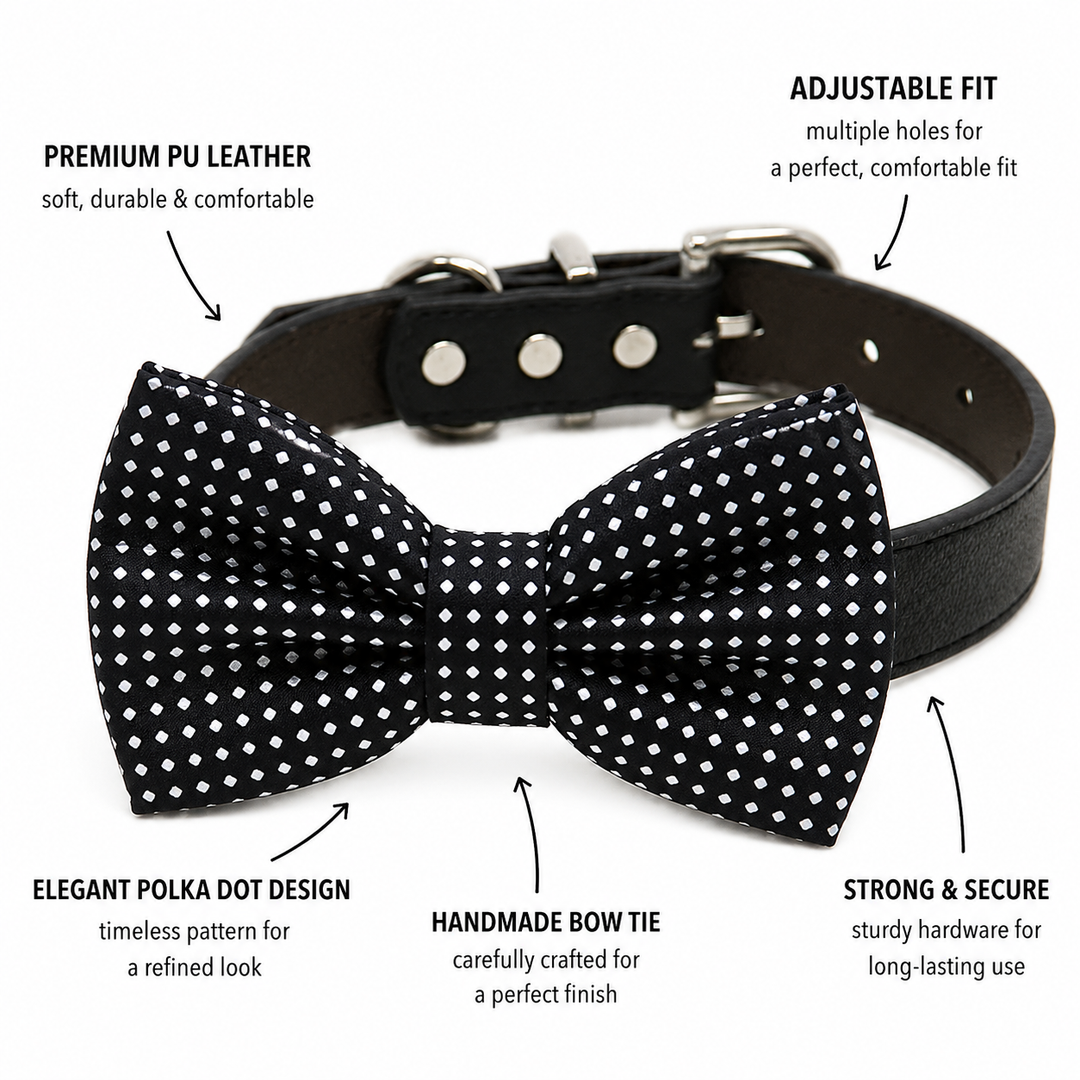 Black Bow Tie Collar Dog Collar for Puppy & Cat