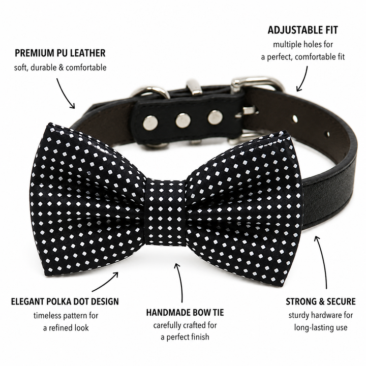 Black Bow Tie Collar Dog Collar for Puppy & Cat