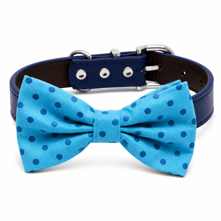 Sky Blue Polka Dot Dog Bow Tie Collar with Adjustable Navy Vegan Leather Collar