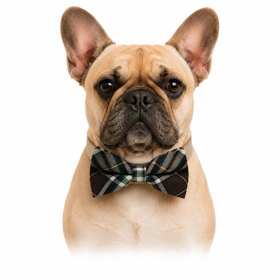 Brown & Ivory Plaid Dog Bow Tie Collar with Adjustable Vegan Leather Collar for Dogs & Puppies