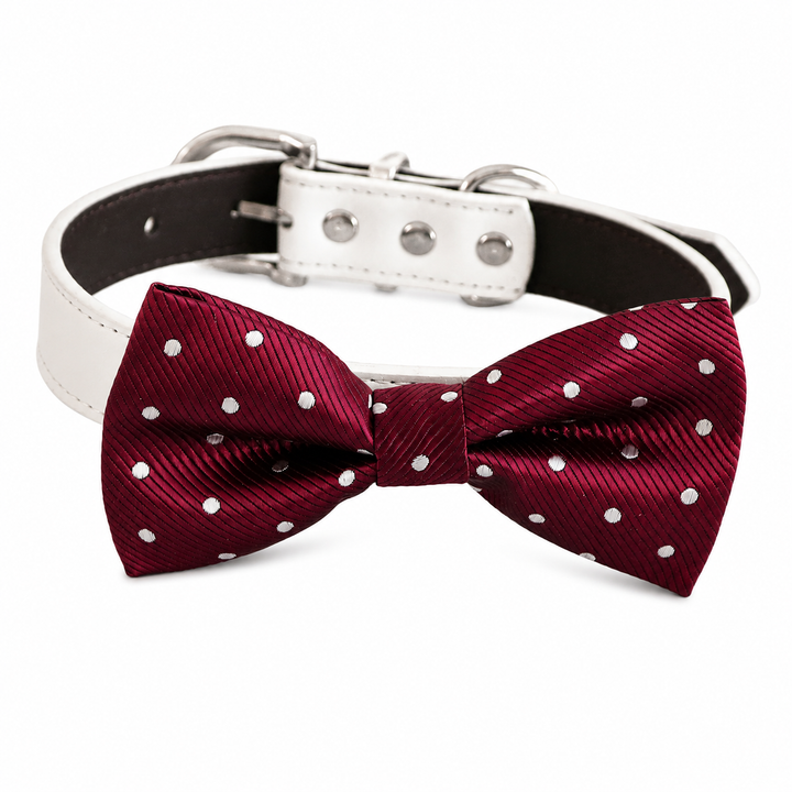 Burgundy Satin Polka Dot Dog Bow Tie Collar with Adjustable Vegan Leather Collar for Dogs & Puppies