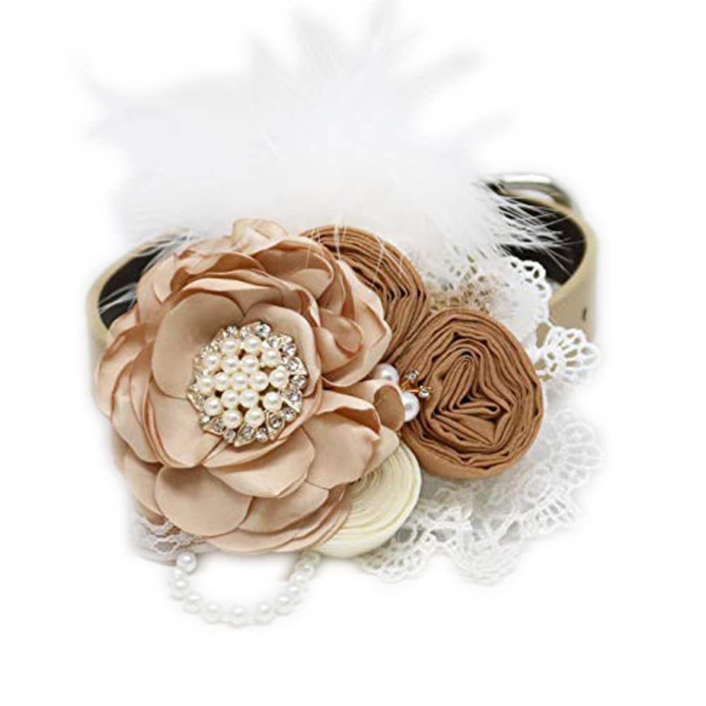 Champagne floral ring bearer dog collar with pearl flower centerpiece, lace accents, decorative feather, and wedding ring holder ribbon.