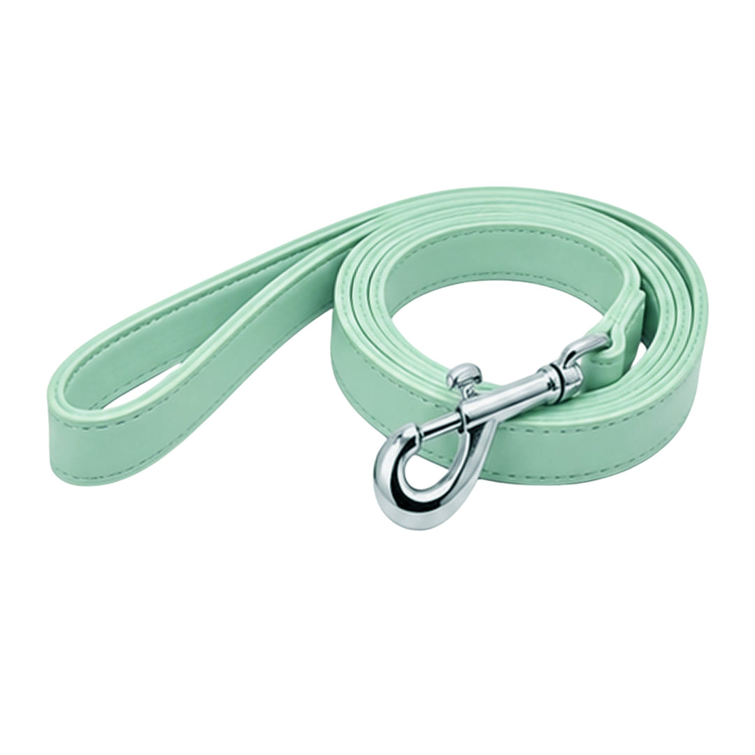 Mint soft vegan leather dog leash, 48 inches long and 0.75 inches wide