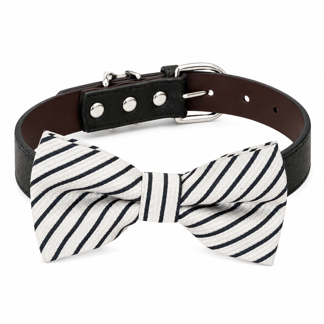 Black vegan leather ring bearer dog collar with handmade white and black striped bow tie and silver-tone hardware
