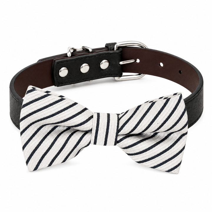 Black vegan leather ring bearer dog collar with handmade white and black striped bow tie and silver-tone hardware
