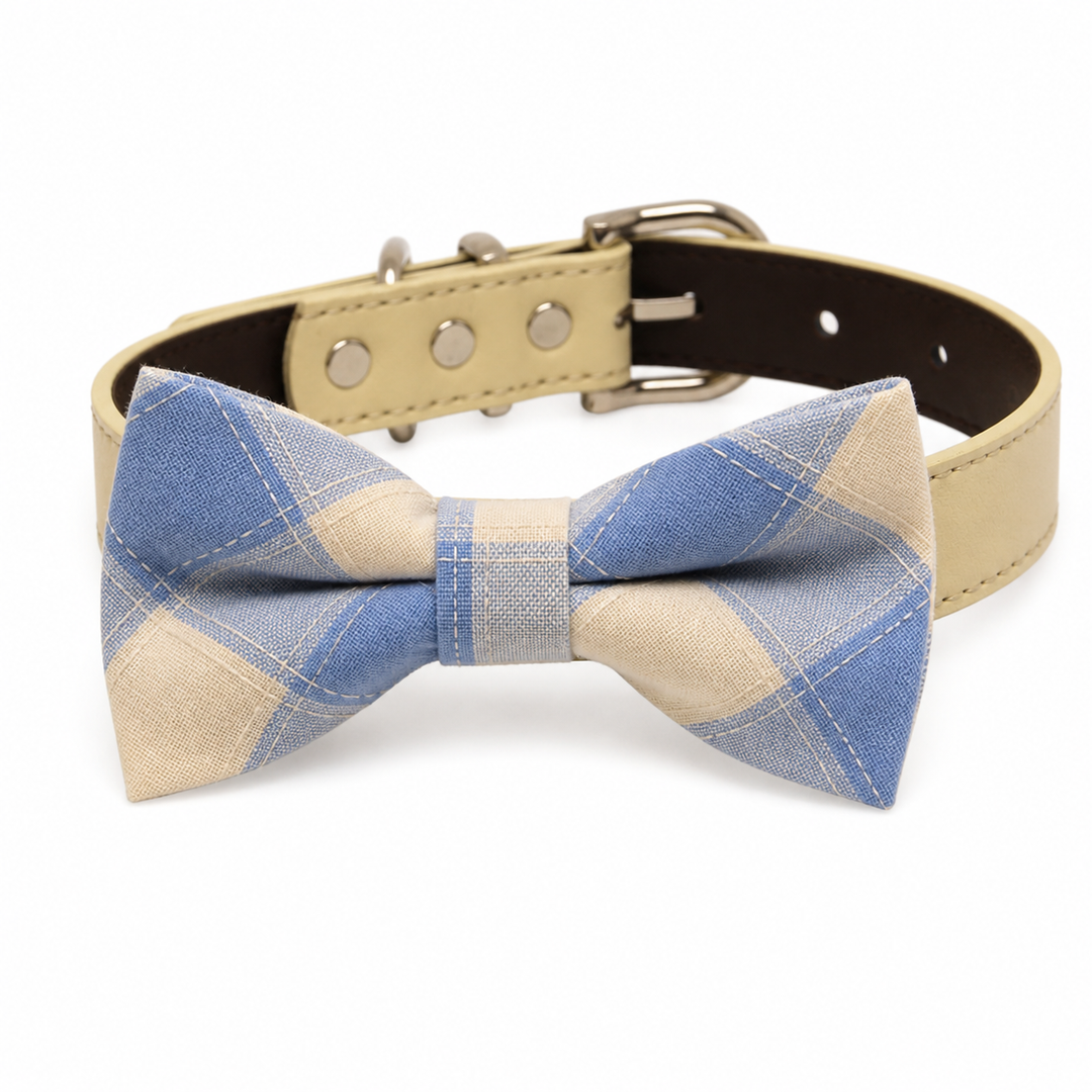 Blue and beige plaid dog bow tie collar with cream vegan leather collar and silver hardware