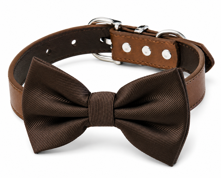 Elegant brown dog bow tie collar with vegan leather collar and detachable bow tie for weddings and formal occasions.