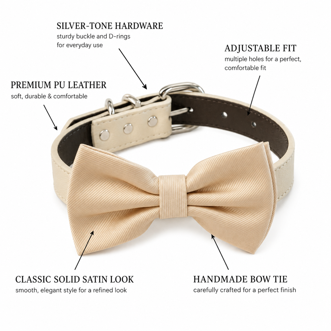 Features of champagne ring bearer dog bow tie collar including vegan leather collar silver hardware adjustable fit and handmade bow tie