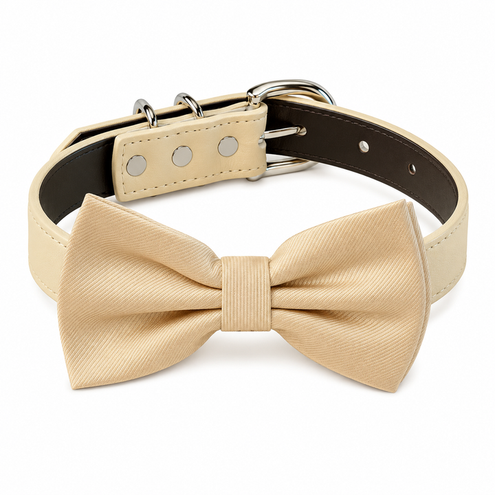 Champagne ring bearer dog bow tie collar with ivory vegan leather collar for weddings, formal events, and special occasions