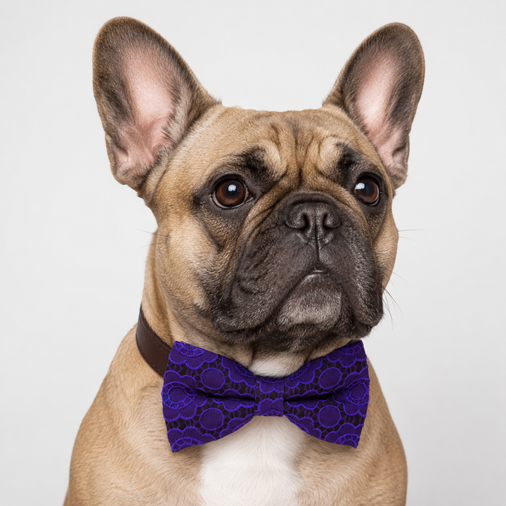 Purple Floral Lace Ring Bearer Dog Bow Tie Collar with Brown Vegan Leather Collar