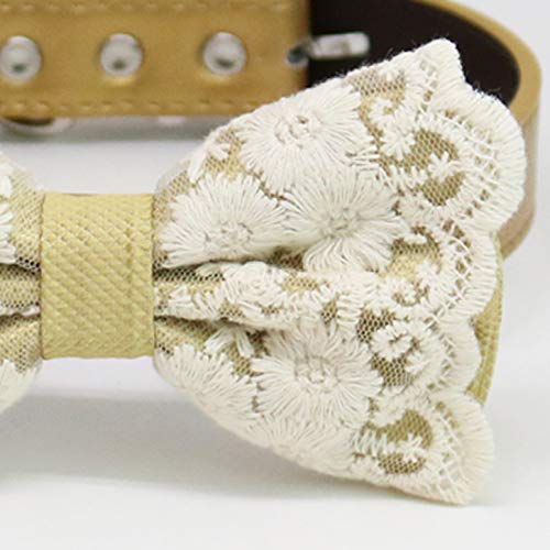 Antique gold floral lace dog bow tie close-up featuring embroidered lace overlay, scalloped edges, and textured center wrap