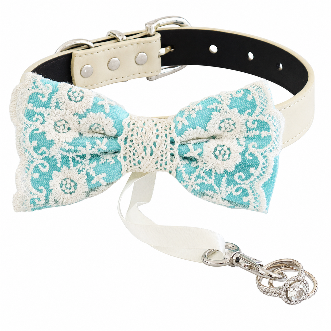 Aqua lace ring bearer dog bow tie collar with ivory vegan leather collar and ribbon ring holder