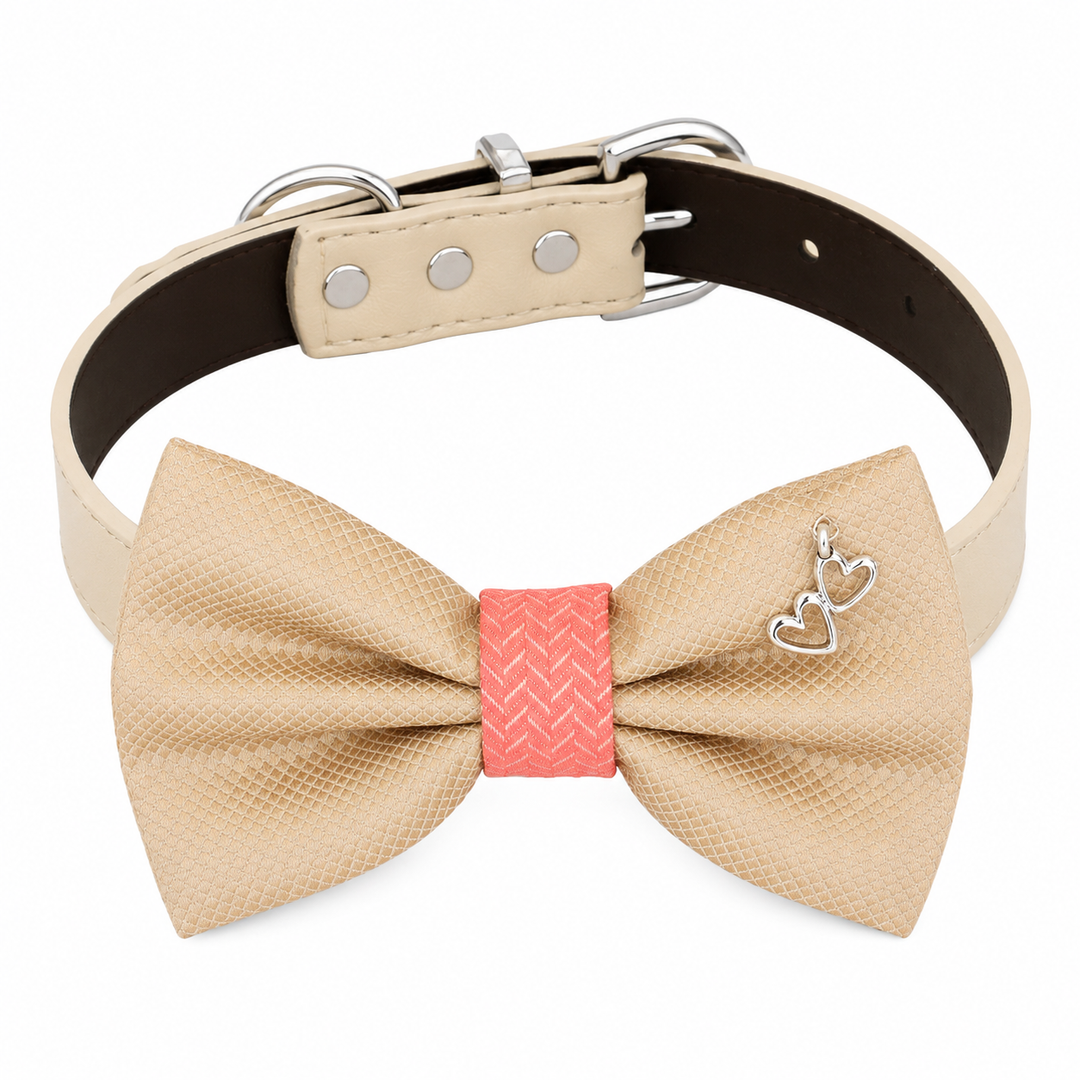 Beige dog bow tie collar with coral center accent, silver heart charm, and vegan leather collar