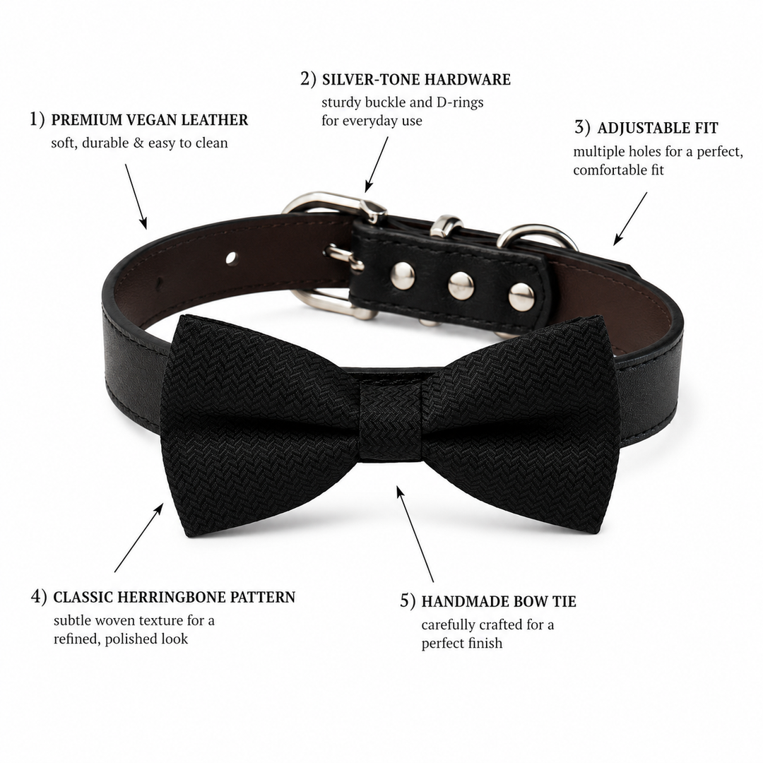 Black herringbone dog bow tie collar with a black vegan leather collar and silver-tone hardware