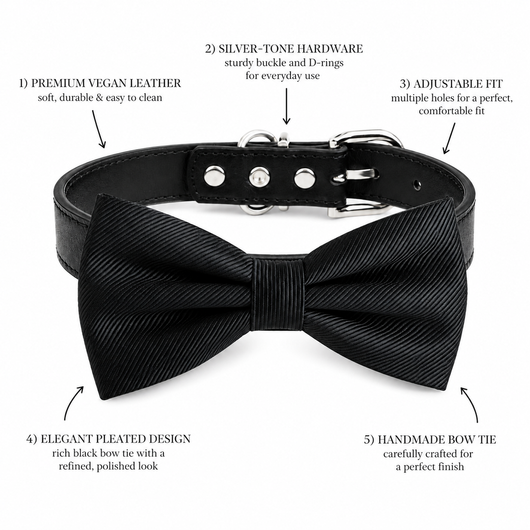Black pleated dog bow tie collar with black vegan leather collar and silver-tone hardware