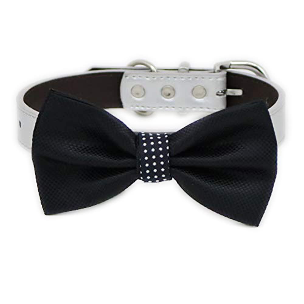 Black textured dog bow tie with white polka dot center attached to a white vegan leather collar with silver-tone hardware