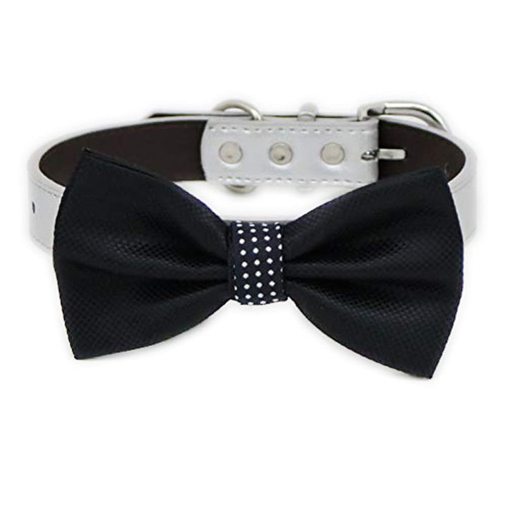 Black textured dog bow tie with white polka dot center attached to a white vegan leather collar with silver-tone hardware