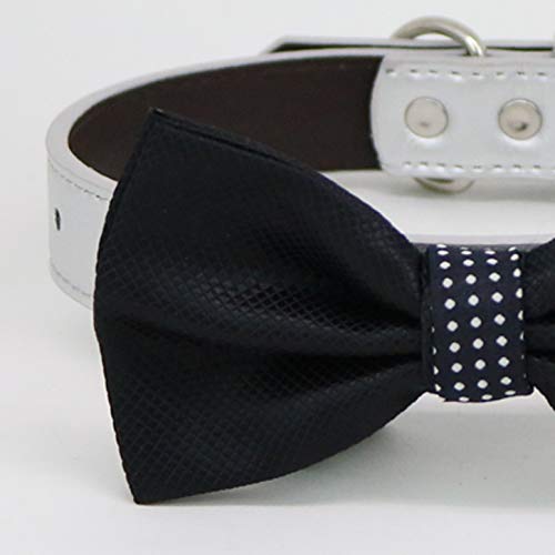 Black textured dog bow tie collar with white vegan leather collar and polka dot center accent