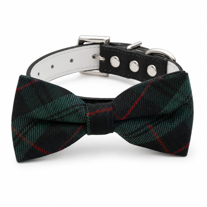 Blackwatch tartan dog bow tie collar with black and white vegan leather collar and silver-tone hardware
